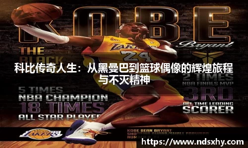 BB贝博登录入口