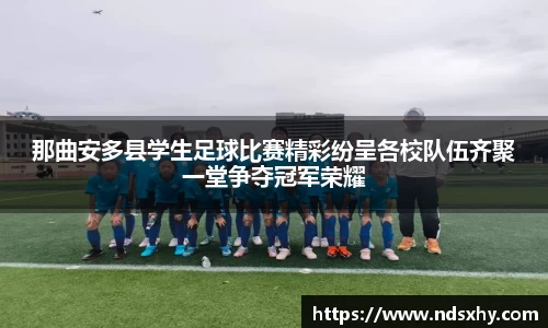 BB贝博登录入口