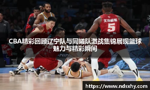 BB贝博登录入口